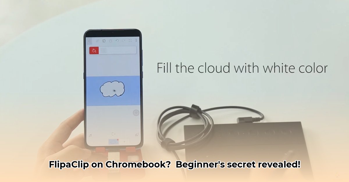 flipaclip-for-chrome-book